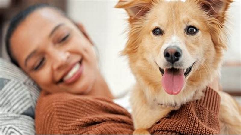 Pet Insurance Comparison: Which Plan Is Best for Your Furry Friend?