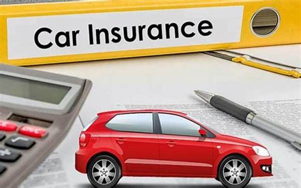 Car Insurance Quotes 2024/2025